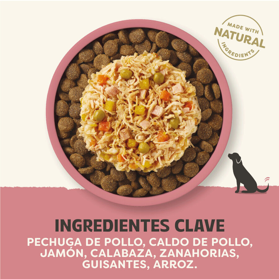 156 g Applaws Taste Toppers Frango com Presunto e Legumes em Molho lata para c&atilde;es, , large Imagem n&uacute;mero 3