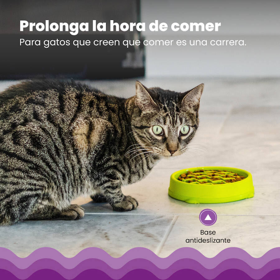 Catstages Cat Fun Comedouro Anti-Voracidade Verde para gatos, , large Imagem n&uacute;mero 5