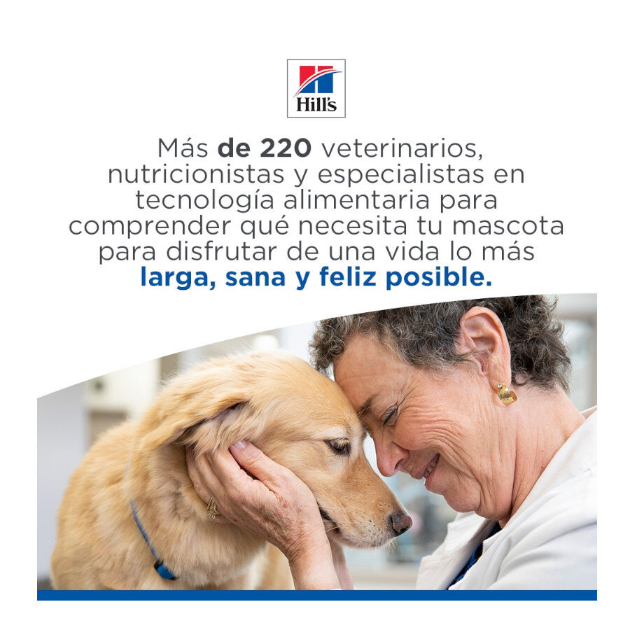 85 g Hill's Science Plan Kitten Frango saqueta em molho, , large Imagem n&uacute;mero 9