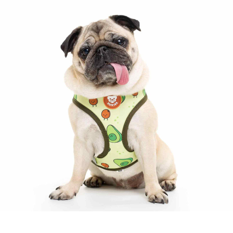 Dukier Avocado Peitoral reversível com estampado de abacate para cães,  Imagem número 2 Dukier Avocado Peitoral reversível com estampado de abacate para cães, , large Imagem número 2