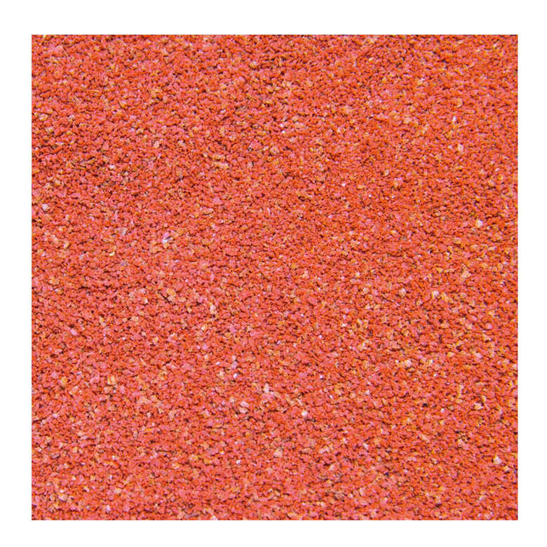 JBL NovoGranoColor Mini Grânulos para peixes de água doce,  Imagem número 3 JBL NovoGranoColor Mini Grânulos para peixes de água doce, , large Imagem número 3