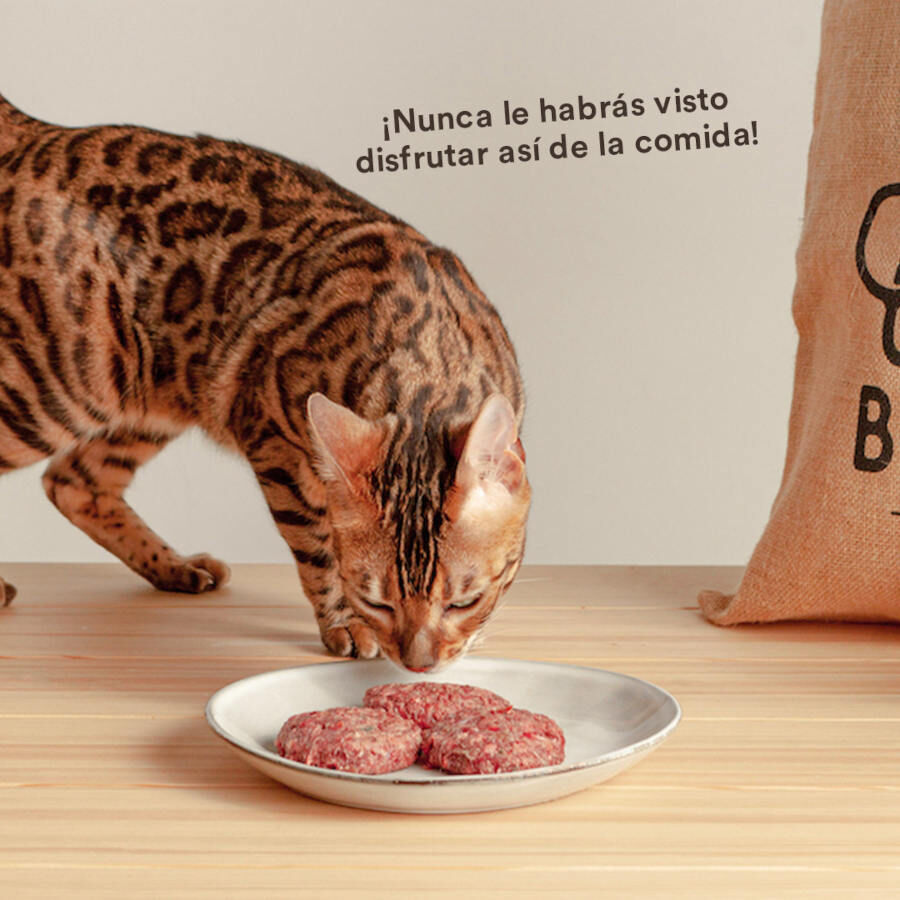 1 kg Wild Balance BARF Salm&atilde;o Peru e Legumes alimenta&ccedil;&atilde;o natural congelada para gatos, , large Imagem n&uacute;mero 7