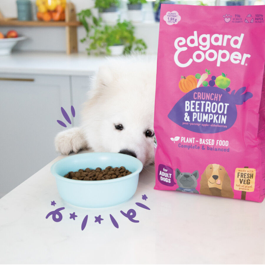 7 kg Edgard & Cooper Ra&ccedil;&atilde;o de beterraba para c&atilde;es, , large Imagem n&uacute;mero 3