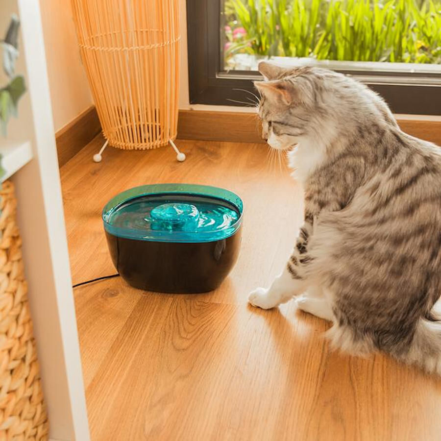 Cecotec Pumba 2200 Refresh Bebedouro Autom&aacute;tico para c&atilde;es e gatos, , large Imagem n&uacute;mero 5