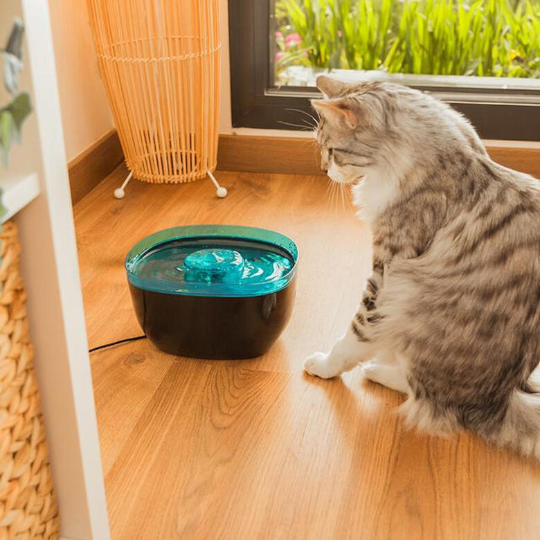 Cecotec Pumba 2200 Refresh Bebedouro Automático para cães e gatos,  Imagem número 5 Cecotec Pumba 2200 Refresh Bebedouro Automático para cães e gatos, , large Imagem número 5