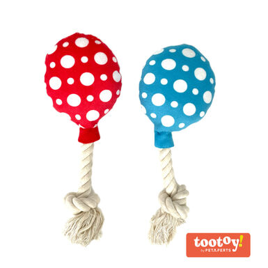 Tootoy! Comfort Brithday Balloon Conjunto de peluches com som para cães