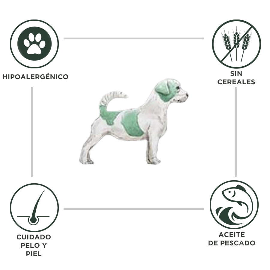 12 kg Criadores Dietetic Hipoalerg&eacute;nico Adulto ra&ccedil;&atilde;o para c&atilde;es, , large Imagem n&uacute;mero 2