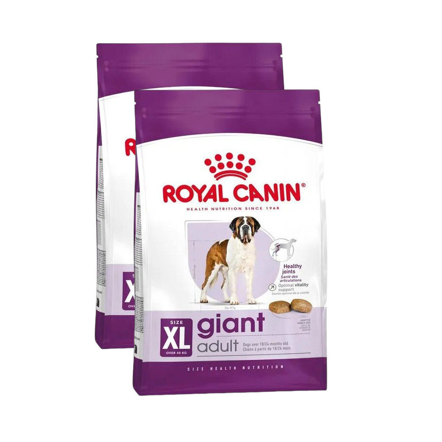 2 x 15 kg Royal Canin Adult Giant ra&ccedil;&atilde;o para c&atilde;es Pack poupan&ccedil;a!, , large Imagem n&uacute;mero 1