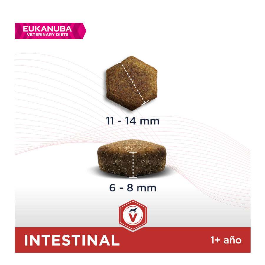 12 kg Eukanuba Veterinary Diets Intestinal ra&ccedil;&atilde;o para c&atilde;es, , large Imagem n&uacute;mero 2