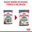 85 g Royal Canin Digestive Sensitive saquetas para gatos, , large Indicador imagem número 7