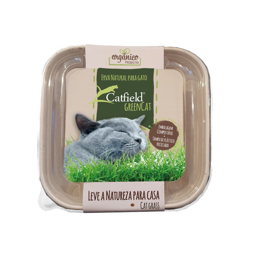 80 g Catfield GreenCat Erva Natural para gatos, , large Imagem n&uacute;mero 1