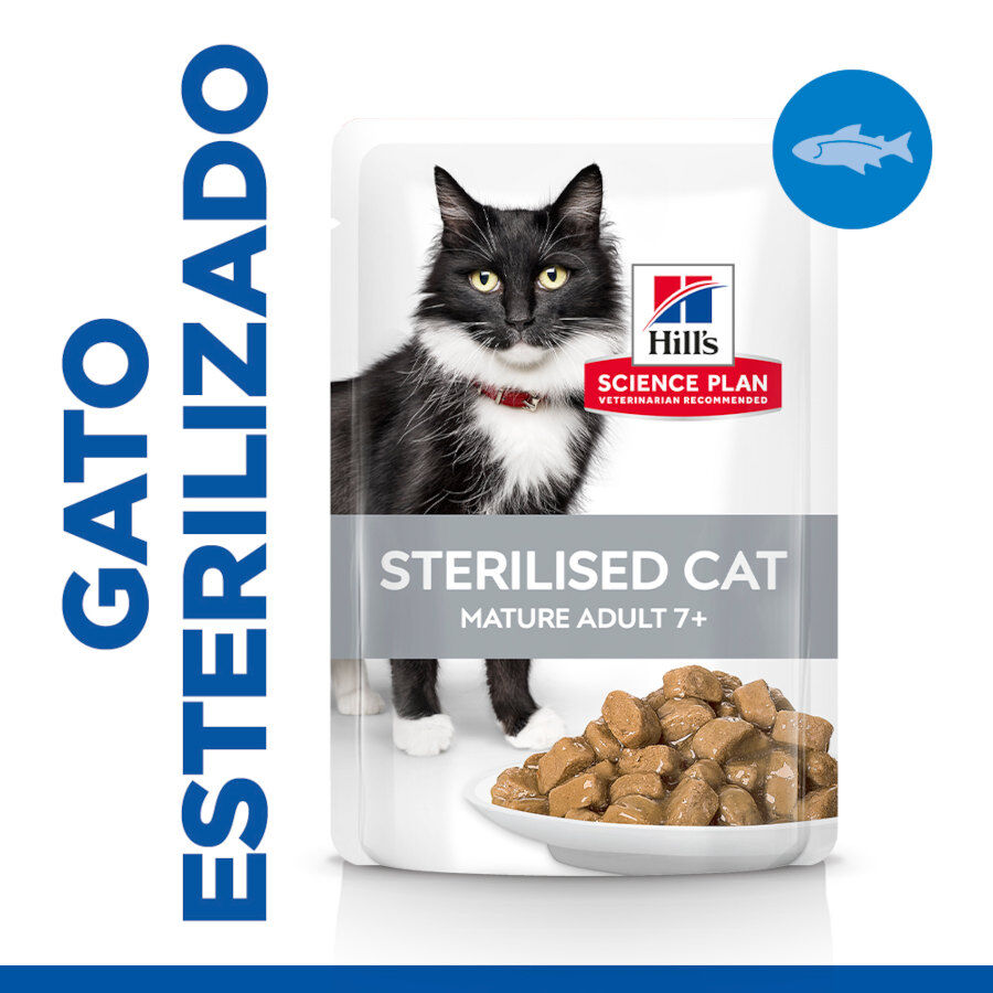 2 saquetas x 85 g Hill's Science Plan Sterilised Mature Peixe Oce&aacute;nico saqueta de molho para gatos Pack poupan&ccedil;a!, , large Imagem n&uacute;mero 1