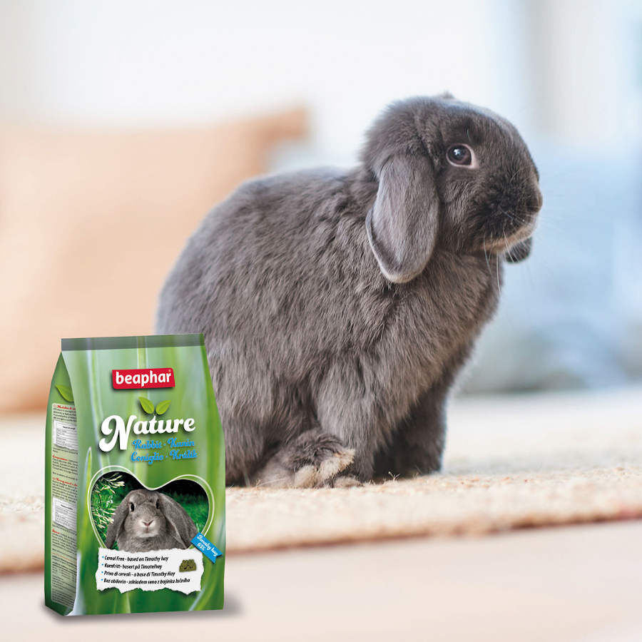 Beaphar Nature Feno Timothy para coelhos, , large Imagem n&uacute;mero 3