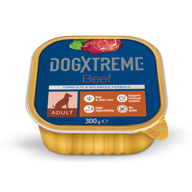 Dogxtreme Adult Carne de Vaca terrina para cães 