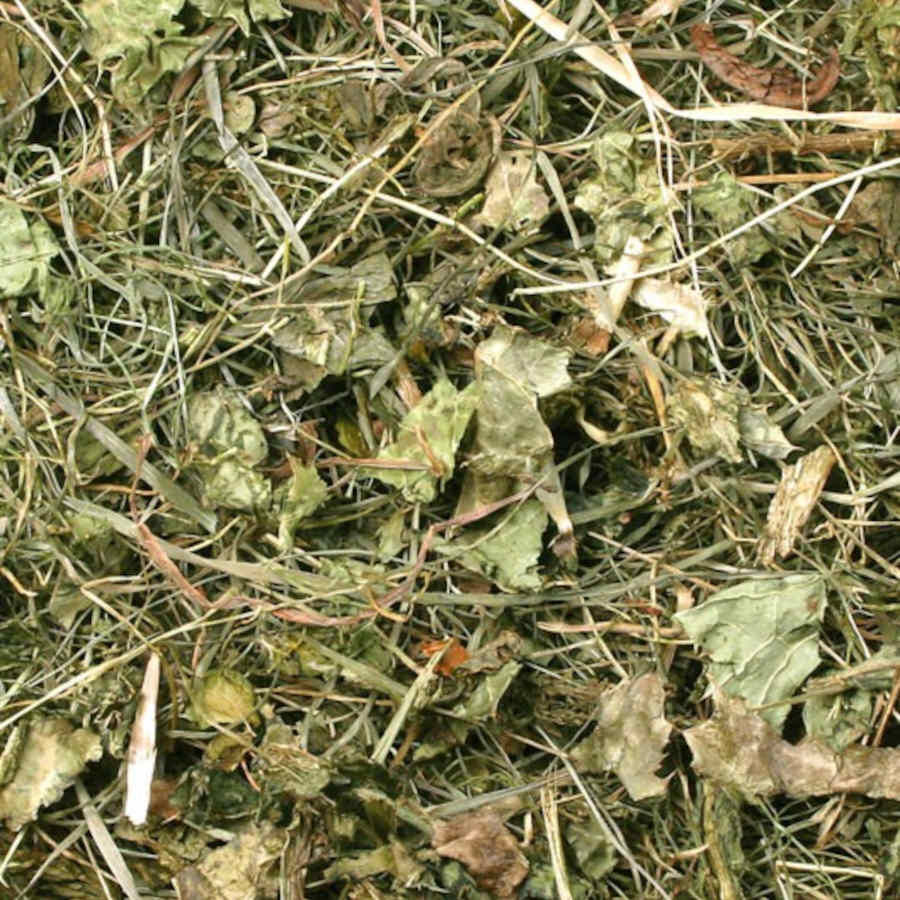 Feno JR Farm Milk Thistle para roedores, , large Imagem n&uacute;mero 2