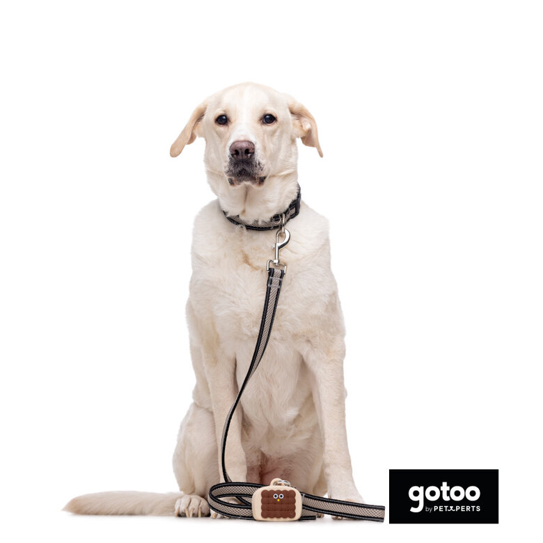 Gotoo Trela mesh cinza refletora para cães,  Imagem número 5 Gotoo Trela mesh cinza refletora para cães, , large Imagem número 5