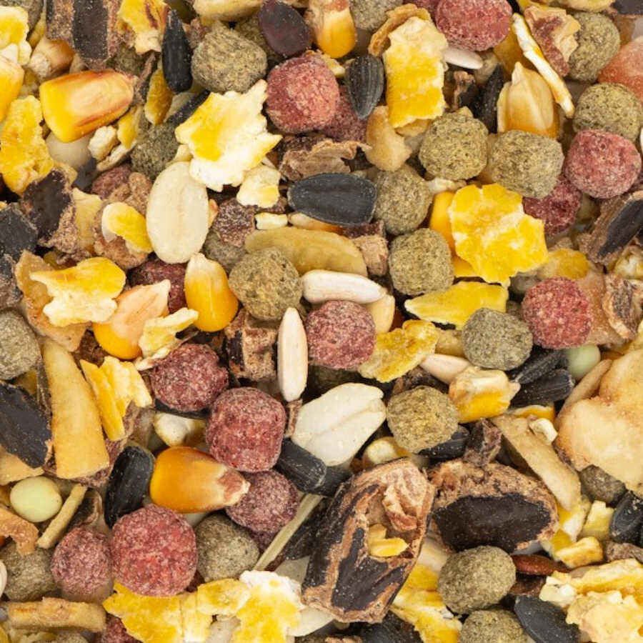 JR Farm Fruit Snacks para roedores, , large Imagem n&uacute;mero 2