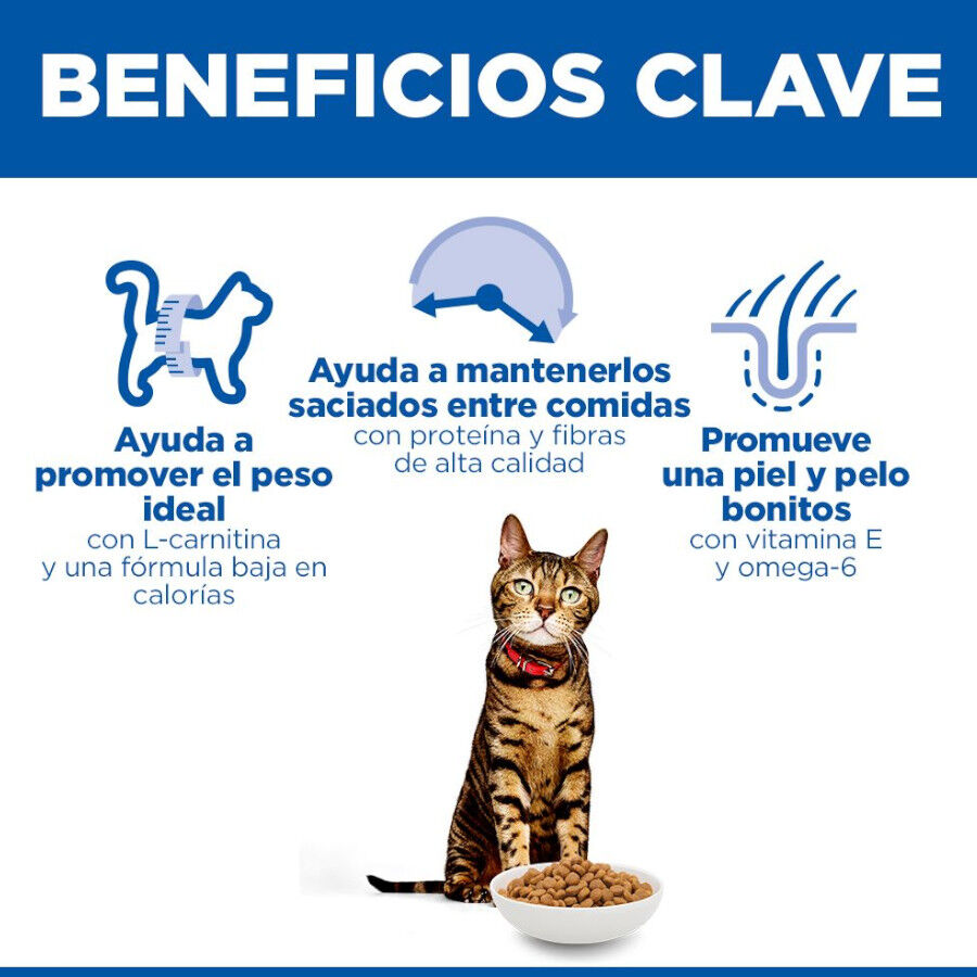 10 kg Hill's Adult Science Plan Frango ra&ccedil;&atilde;o para gatos, , large Imagem n&uacute;mero 5