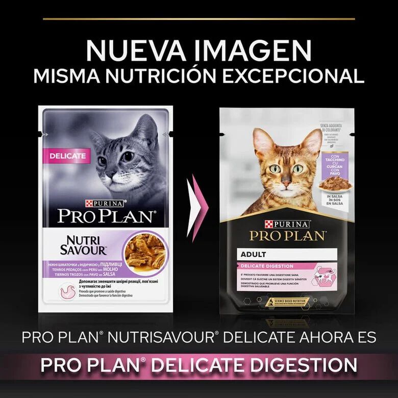 85 g Pro Plan Delicate Digestion com Peru em molho para gatos, , large Imagem n&uacute;mero 2