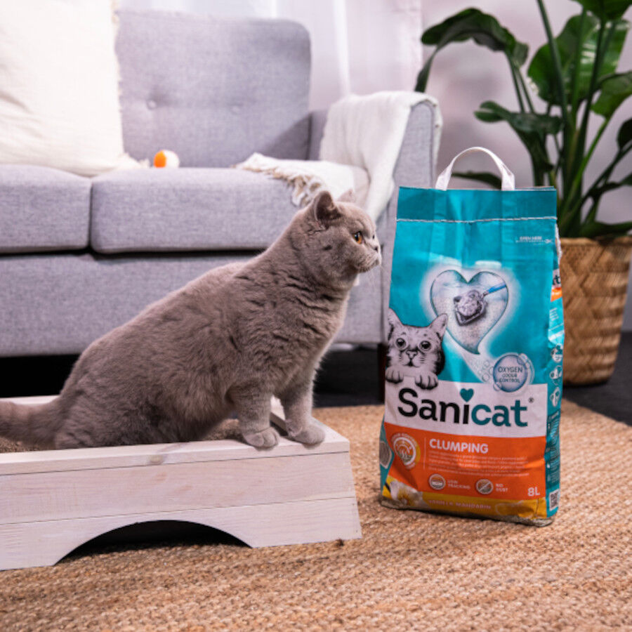 8 L Sanicat Areia Aglomerante Baunilha e Tangerina para gatos, , large Imagem n&uacute;mero 4