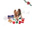 Wonder Christmas Calend&aacute;rio do Advento para c&atilde;es, , large Indicador imagem n&uacute;mero 1