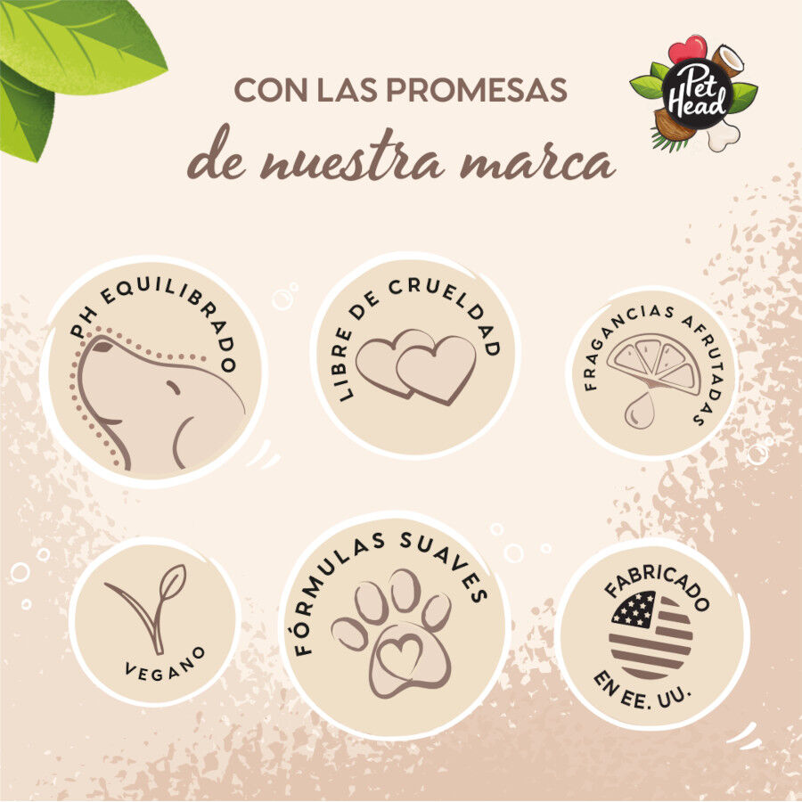 Pet Head Champ&ocirc; Coco para peles sens&iacute;veis para c&atilde;es 300ml, , large Imagem n&uacute;mero 5