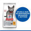 7 kg   Hill's Kitten Science Plan Sterilized Frango ração, , large Indicador imagem número 5