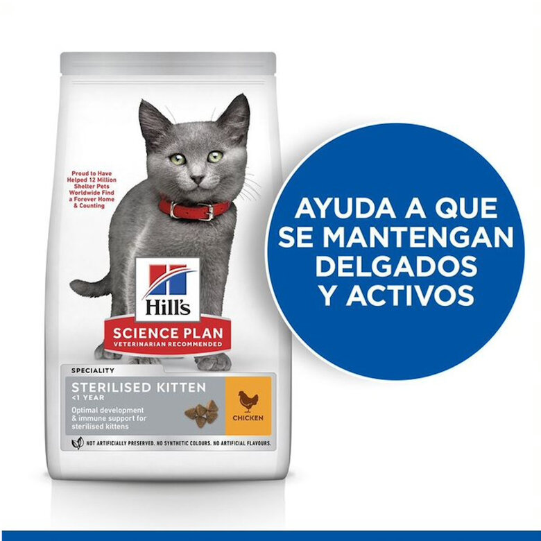 7 kg   Hill's Kitten Science Plan Sterilized Frango ração,  Imagem número 5 7 kg   Hill's Kitten Science Plan Sterilized Frango ração, , large Imagem número 5