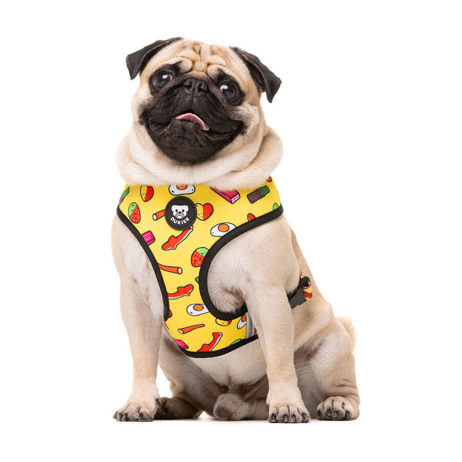 Dukier Sweets Peitoral revers&iacute;vel para c&atilde;es, , large Imagem n&uacute;mero 2