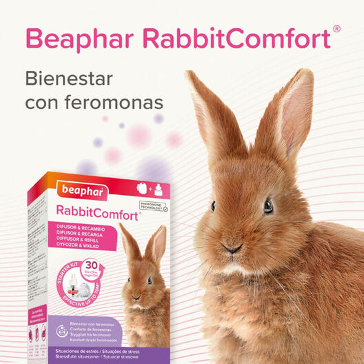 Beaphar RabbitComfort Difusor e recarga para coelhos, , large image number null