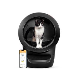 Litter-Robot Caixa de Areia Autom&aacute;tica Preta para gatos