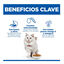 1.5 kg Hill's Science Plan Adult Hypoallergenic Ovo e Insetos ra&ccedil;&atilde;o para gatos , , large Indicador imagem n&uacute;mero 3