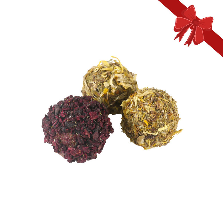 Rosewood Bolinhas de snacks de Natal para roedores,  Imagem número 1 Rosewood Bolinhas de snacks de Natal para roedores, , large Imagem número 1