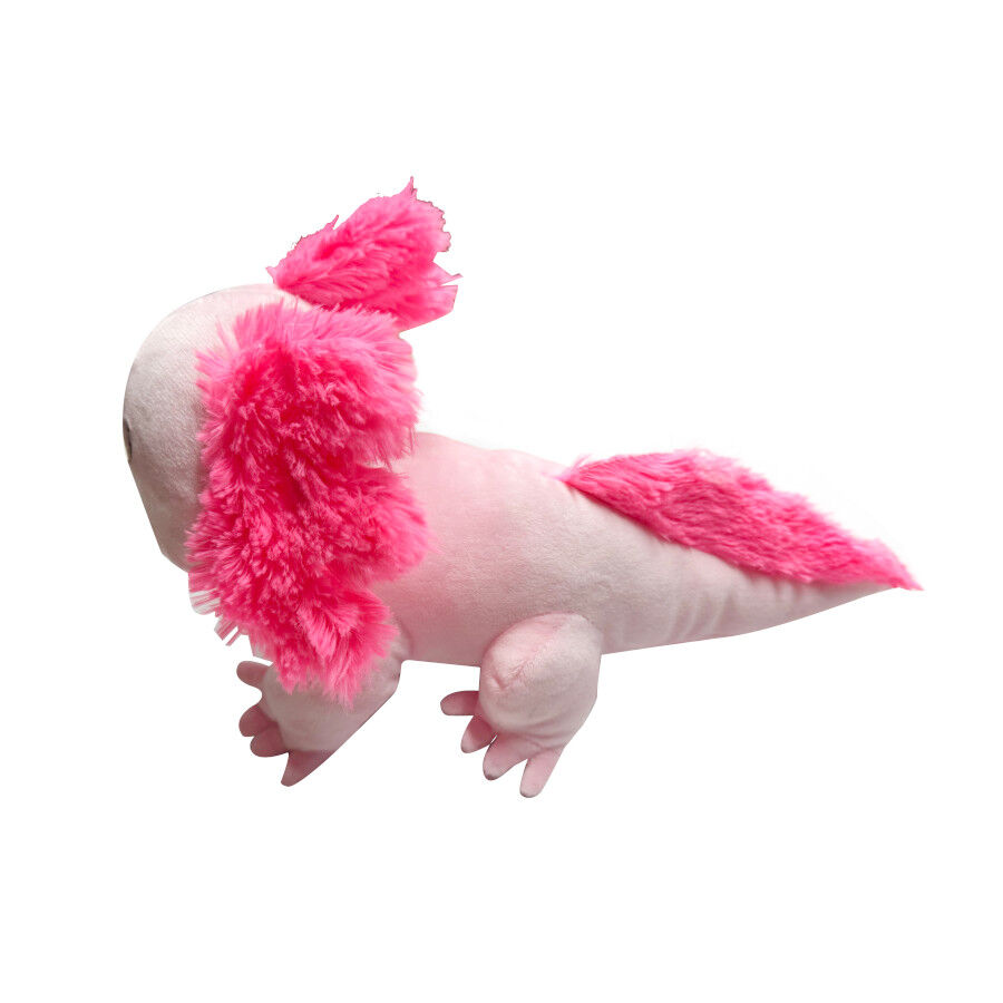 Tootoy! Comfort Peluche axolote para c&atilde;es, , large Imagem n&uacute;mero 3