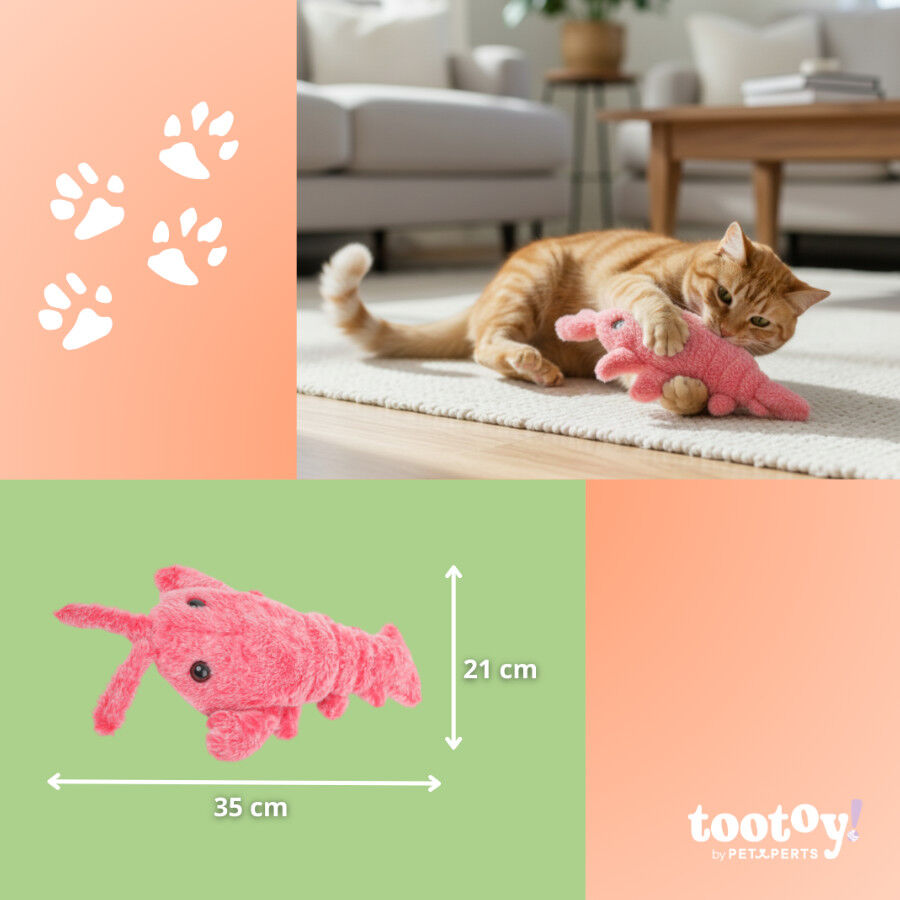 Tootoy! Interactive & Stimulate Brinquedo Lagosta Interativa para gatos, , large Imagem n&uacute;mero 4