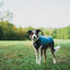 Non-stop Dogwear Trail Quest Camisola Polar Azul e Cinzento para c&atilde;es, , large Indicador imagem n&uacute;mero 3