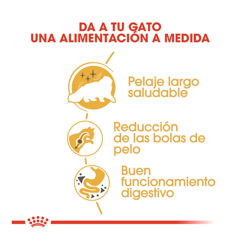 10 kg Royal Canin Persa ração para gatos adultos,  Imagem número 6 10 kg Royal Canin Persa ração para gatos adultos, , large Imagem número 6