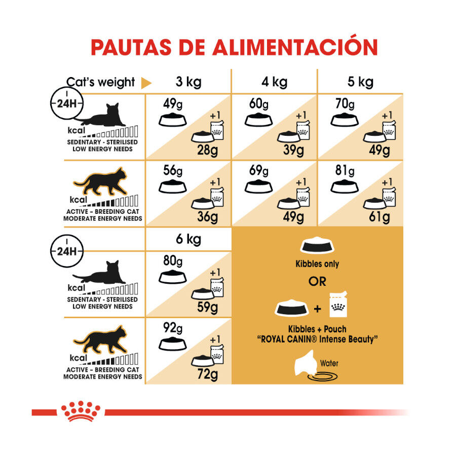 10 kg Royal Canin Adult Sphynx ra&ccedil;&atilde;o para gatos, , large Imagem n&uacute;mero 8