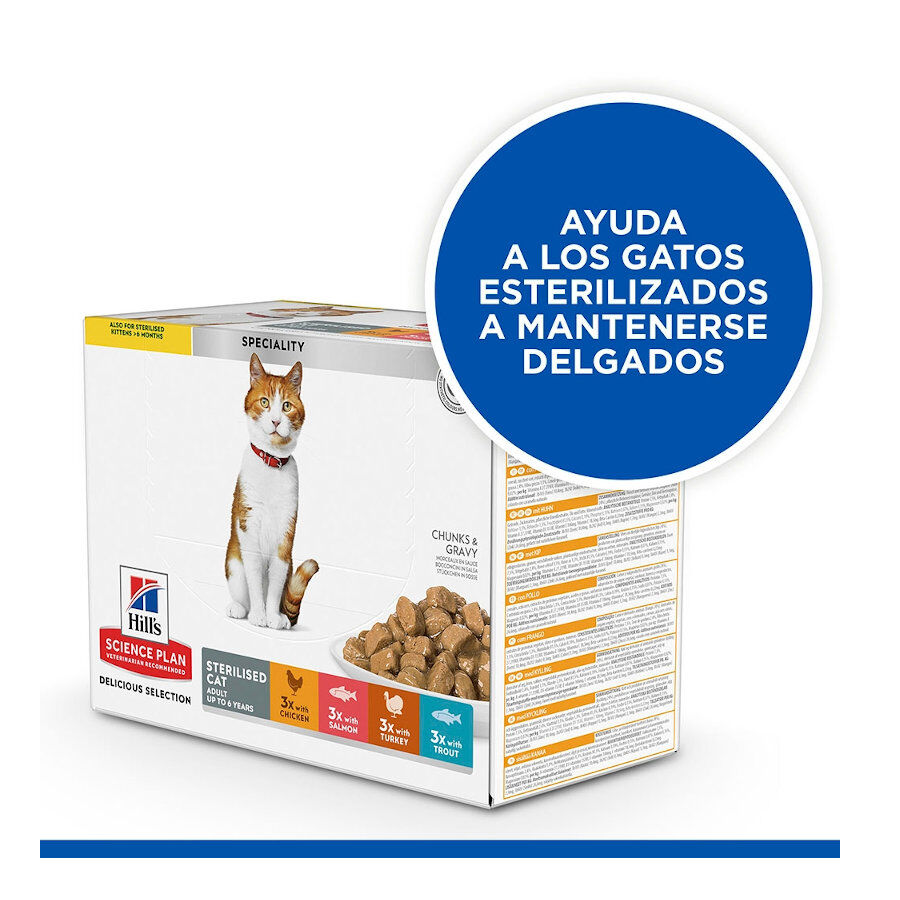 12 sobres x 85 g Hill's Science Plan Esterilizado Adulto Frango e Salm&atilde;o em Molho para Gatos, , large Imagem n&uacute;mero 4