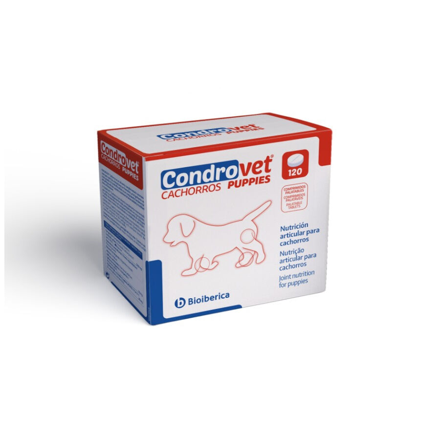120 comprimidos Bioiberica Condrovet Condroprotetor das articula&ccedil;&otilde;es para c&atilde;es, , large Imagem n&uacute;mero 1
