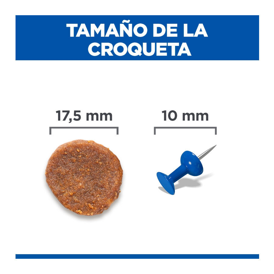 12 kg Hill's Science Plan Perfect Weight Adult Large Frango ra&ccedil;&atilde;o para c&atilde;es, , large Imagem n&uacute;mero 4