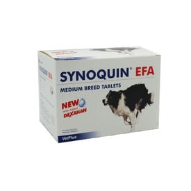 Vetplus Synoquin Condroprotetor para cães de raça média