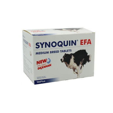 Vetplus Synoquin Condroprotetor para cães de raça média