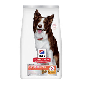 Hill'sScience Plan Perfect Digestion Medium Adult Ração de frango para cães,  Hill'sScience Plan Perfect Digestion Medium Adult Ração de frango para cães