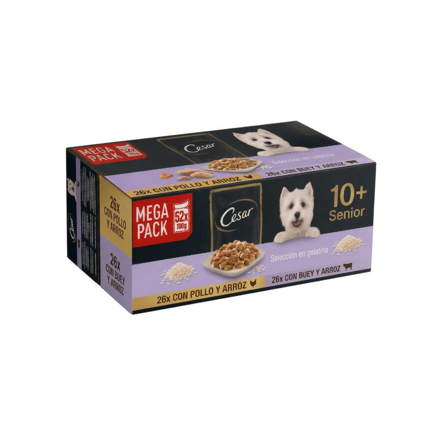 52 saquetas x 100 g Cesar Senior 10+ Sele&ccedil;&atilde;o em Gelatina Comida h&uacute;mida em saquetas para c&atilde;es, , large Imagem n&uacute;mero 1