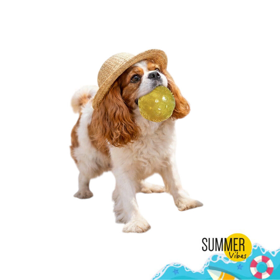 Summer Vibes Squeaker Ball Bola para c&atilde;es, , large Imagem n&uacute;mero 9