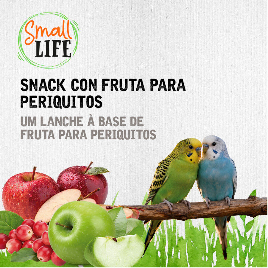 2 barritas Small Life Barritas Snack con Fruta para periquitos, , large Imagem n&uacute;mero 4
