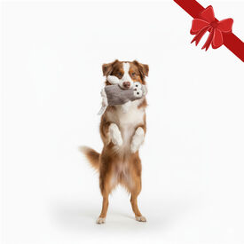 Wonder Christmas Peluche Coruja de Natal para Cães,  Wonder Christmas Peluche Coruja de Natal para Cães