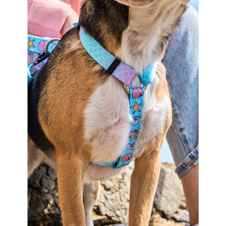 Dukier Mermaid Peitoral Clássico para cães,  Imagem número 2 Dukier Mermaid Peitoral Clássico para cães, , large Imagem número 2