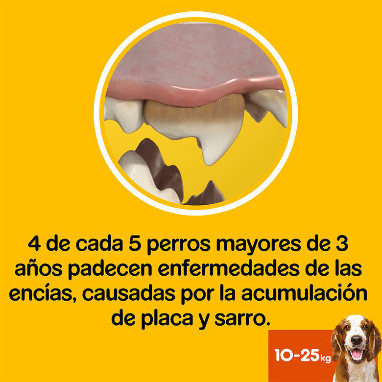 7 sticks Pedigree Dentastix Fresh Snacks Dentários para Cães Médios,  Imagem número 6 7 sticks Pedigree Dentastix Fresh Snacks Dentários para Cães Médios, , large Imagem número 6